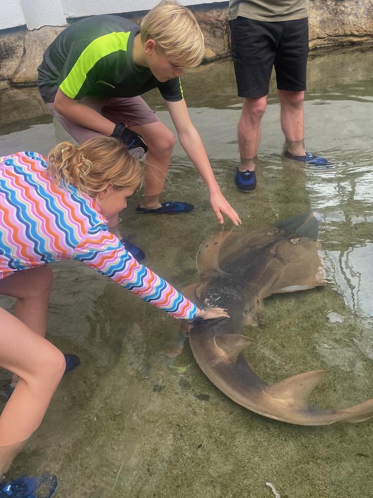 Ellie and Drew pat one of the shovelnose rays. Picture: Kara Jung