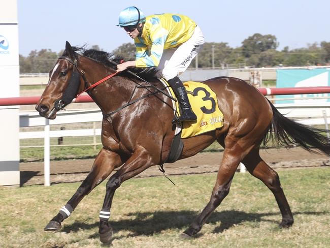 Trainer Scott Singleton feels Outishka can measure up to a TAB Highway in Sydney. Picture: Bradley Photos