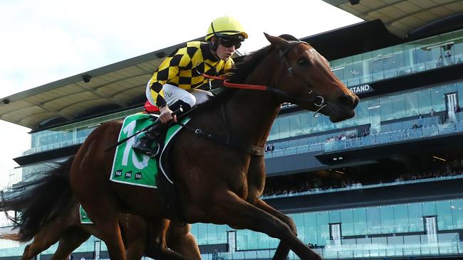 Unbeaten mare Clear Thinking resumes at Randwick on Saturday. Picture: Jeremy Ng/Getty Images