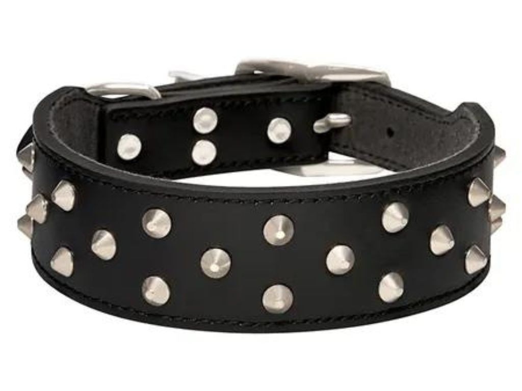 Grab this cool studded leather collar for your dog.