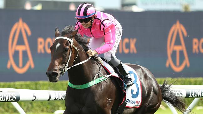 Felix Majestic (Molly Bourke) wins at Randwick in December last year. The Gary Nickson-trained gelding is a $21 chance in Saturday’s Listed Civic Stakes. Picture: Jeremy Ng / Getty Images