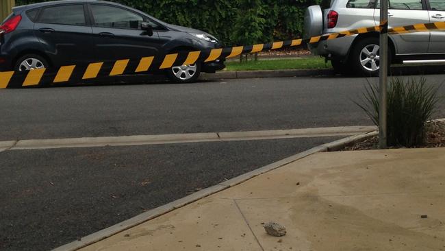 Debris on the footpath from the tram overpass on South Rd, Black Forest. Picture: Sam Wundke