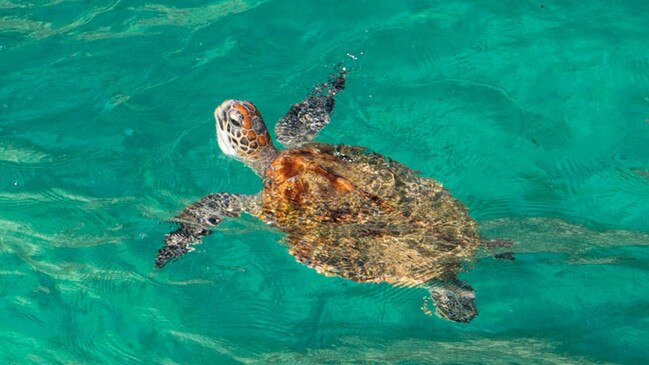 Spend days hiking and exploring South Stradbroke Island. Picture: 2 Aussie Travelers