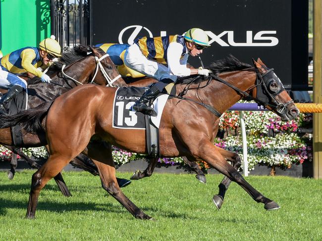 Mark Twain (NZ) ridden by Michael Dee wins the Lexus Roy Higgins at Flemington Racecourse on March 30, 2024 in Flemington, Australia. (Photo by Ross Holburt/Racing Photos via Getty Images)