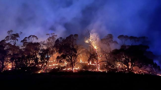 The owners of the Big Rocking Horse responded to a fire at Birdwood on Wednesday morning. Picture: Facebook