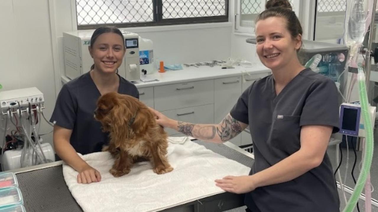 Nurses Hayley Millard and Alana McGrath care for a patient at River Rd Vet.