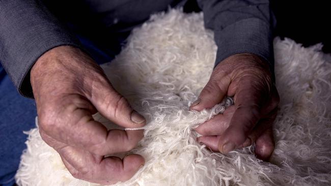 Three years ago 17-18 micron wool was returning premiums about 400c/kg above current rates. Picture: Nicole Cleary