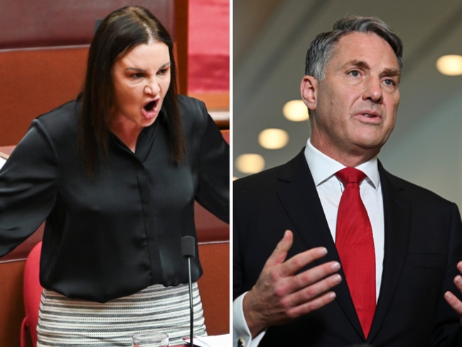 Tasmanian senator Jacqui Lambie led the fight for the government to release the 20-year review of the Inspector-General of the ADF. Picture: NewsWire / Martin Ollman