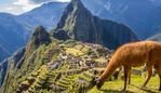 Llama gazing in front of Macchu Picchu citadel. Picture: iStock

Sightseeing 101, Catherine Best, Escape