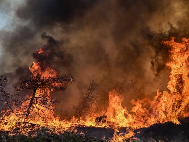 Wildfires burn the forests near the village of Vati, in the southern part of the Greek island of Rhodes. Picture: AFP