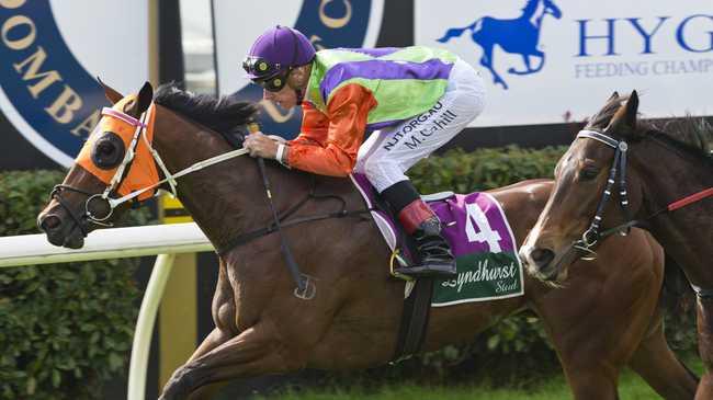 Little Miss Pixie and Michael Cahilll win race one at Clifford Park, Tuesday, June 16, 2020. Picture: Kevin Farmer