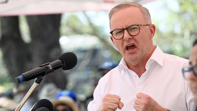 Mr Albanese addressed the crowd on Saturday. Picture: NCA NewsWire / Jeremy Piper