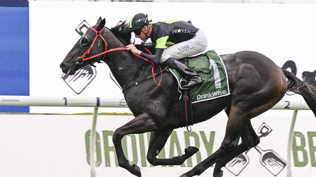 Private Eye can jump to tenth on the list of top prizemoney earners with victory in The Ingham at Randwick. Picture: Bradley Photos
