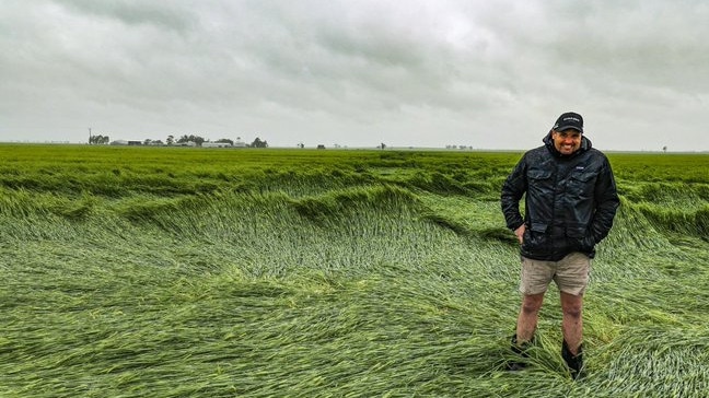 Agronomist Josh Merrett. Photo: Phil Lintern