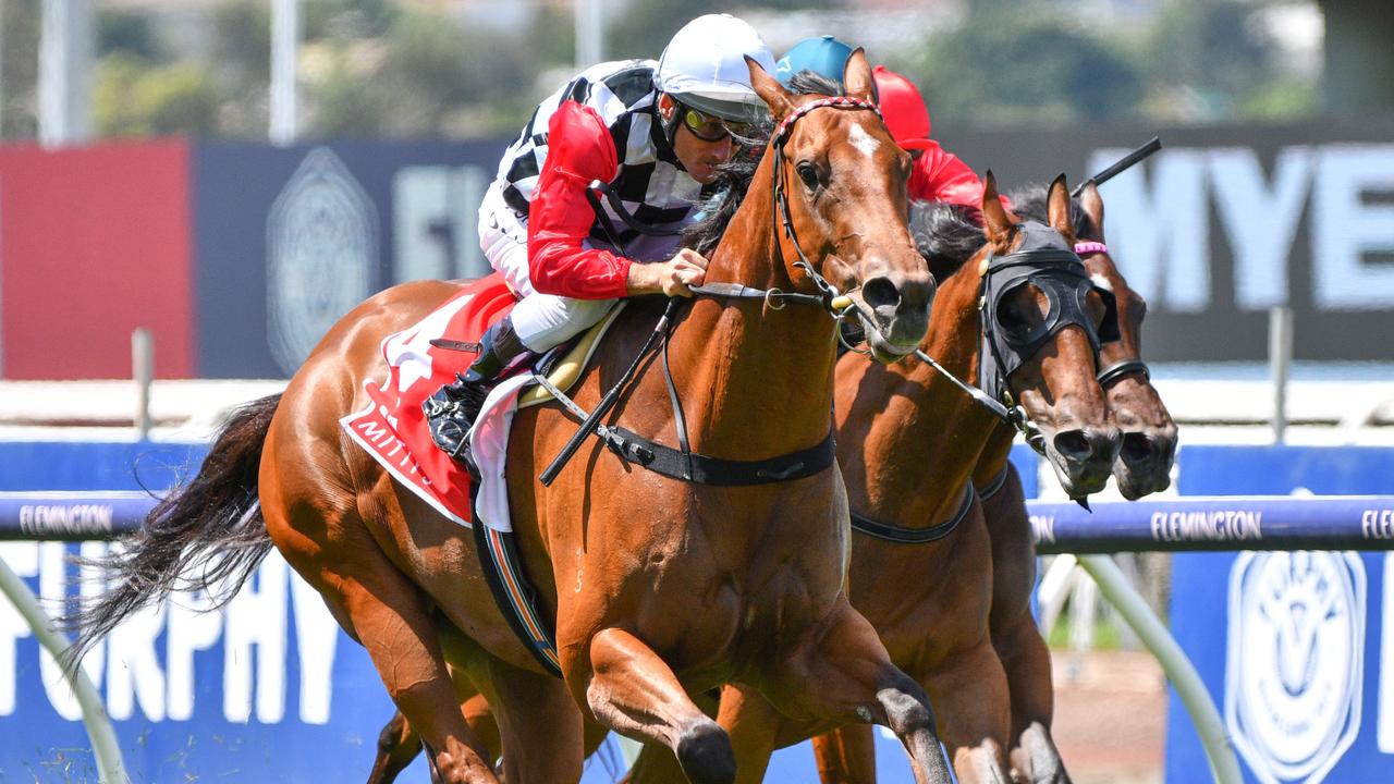 Horse Racing Tips: Caulfield Best Bets, Nick Quinn’s Selections ...