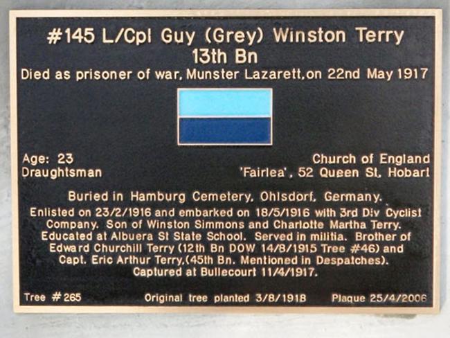 Lance Corporal Guy Winston Terry’s plaque on the Soldiers’ Memorial Avenue.