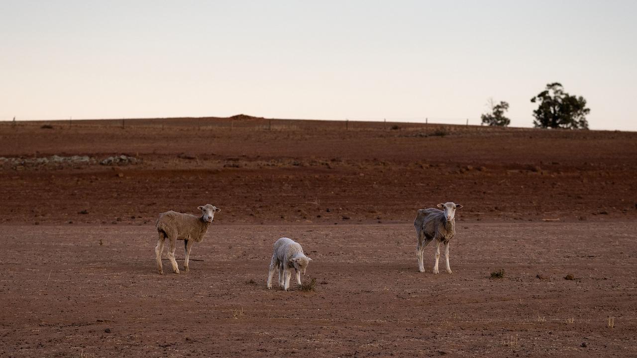 The Jerry family farm 'Marlborough', 40km outside Coonabarabran. Picture: Brook Mitchell/Getty Images