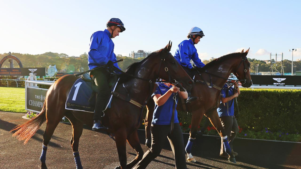 Randwick Trackwork Session