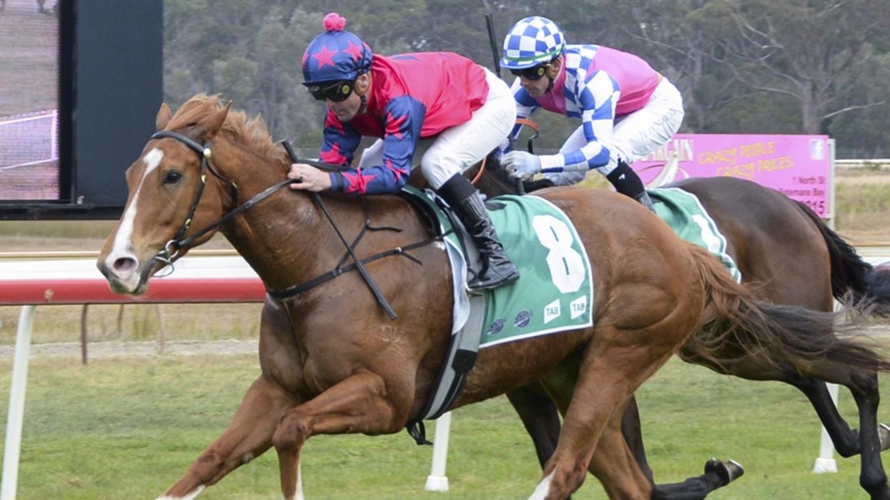 Santorini Sun looks hard to beat at Nowra on Sunday. Picture: Bradley Photos