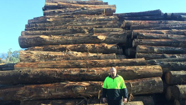 Walkers Sawmills foreman Simon Zimmer in 2020, with fire-salvaged Mountain Ash logs from the Corryong fires.