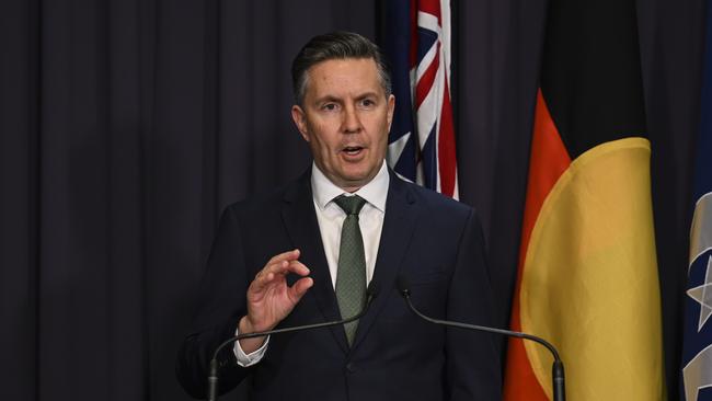 The Minister for Health and Aged Care Mark Butler said telehealth was not suitable for mental health diagnosis Picture: NCA NewsWire / Martin Ollman