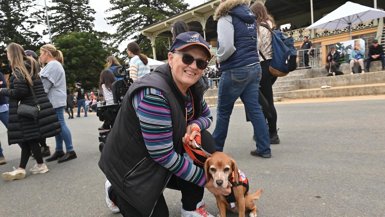 Spectators enjoying the Community Day at the Adelaide Equestrian Festival. Picture: Keryn Stevens