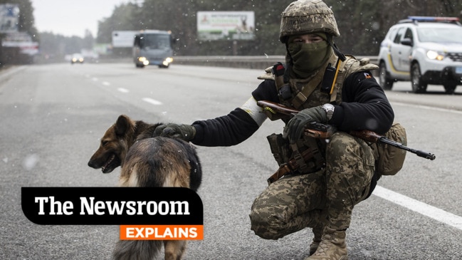 Russian soldiers are 'eating dogs and pets'