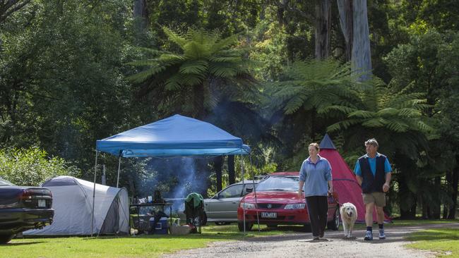 Camp among the trees at Warburton Holiday Park in the Yarra Valley.