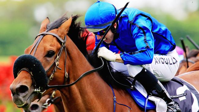 Happy Clapper looks good value in the Doncaster Mile. Picture: Jenny Evans