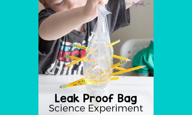 4 Home-based Science Activities You Can Try With The Kids Right Now