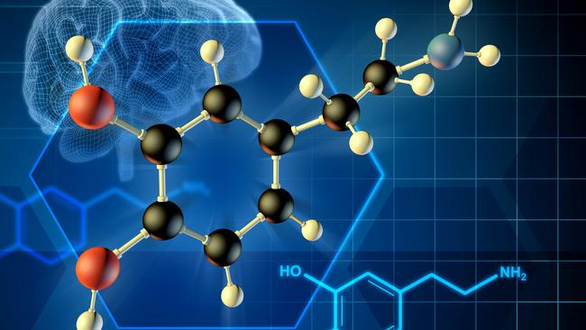 Dopamine is a neurotransmitter and hormone that sends messages between nerve cells to make people feel good.