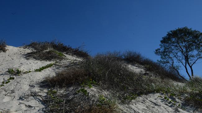 Nude Beach at Tyagarah offs Grays Lane.