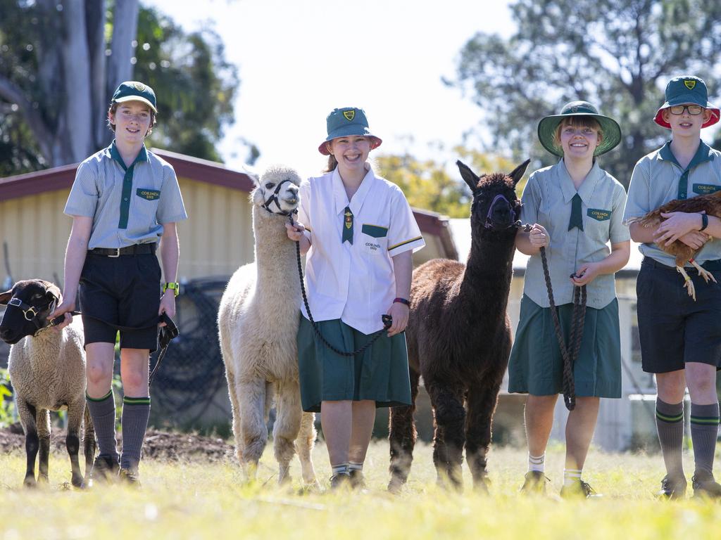 Corinda State High School Students with their alpacas, sheep and chickens which they'll be taking to this years Ekka. Students, Travis Straker, Naomi Varnes, Cailin Noble, and Isaac Varnes. Picture: Jerad Williams