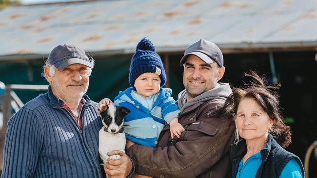 Winning spot: Alex Cavallaro with 11 month old son Lewis, and Alex’s parents Cosimo and Rosie after receiving news of the Milk Quality Awards top placing. Picture: Chloe Smith