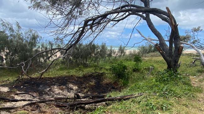 The blackened ground at Fraser Island after rangers put out an illegal fire.