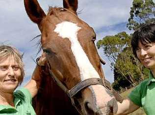 Holly Ohlson (left) and Tiffany Carmichael of Horse Sense for Humans with Nick who plays a role in helping people tackle mental health issues. Picture: David Nielsen