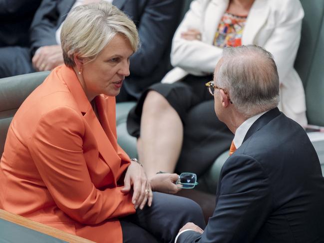 CANBERRA, AUSTRALIA, NewsWire Photos. NOVEMBER 25, 2024: Australian Environment Minister Tanya Plibersek  and Prime Minister Anthony Albanese during Question Time at Parliament House in Canberra Picture: NewsWire / David Beach