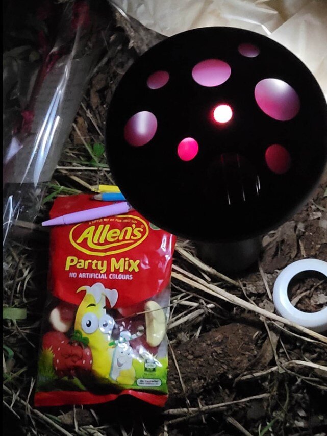 Solar lights and lollies left at the scene of the fatal crash by Alicia Montebello's family. Picture: Facebook/ Hamilton Victoria’s Community Group