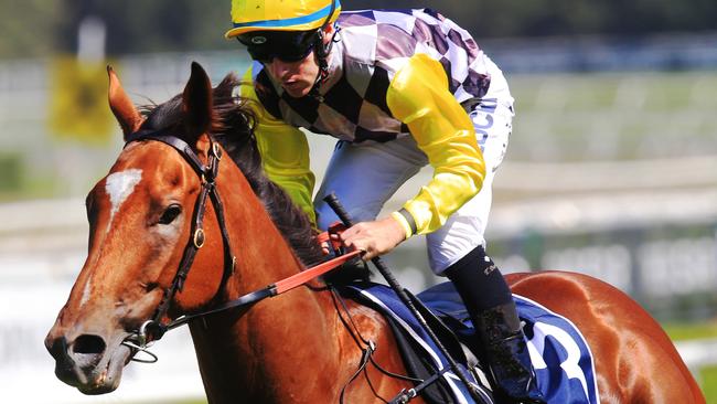 Clearly Innocent is unbeaten in five starts at Scone. Can he do it again on Saturday? Picture: Jenny Evans