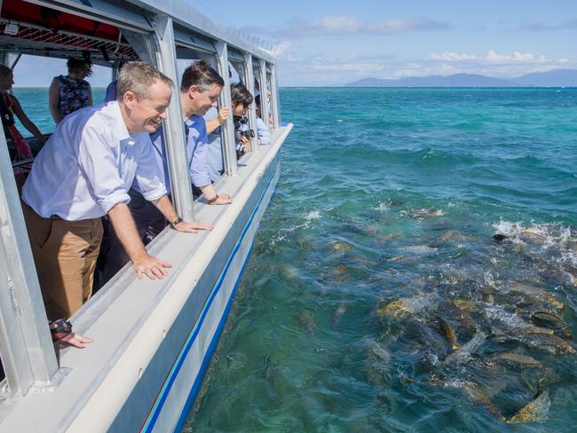 Leader of the Opposition Bill Shorten announced a $500 million boost to the Great Barrier Reef. Picture: Jason Edwards