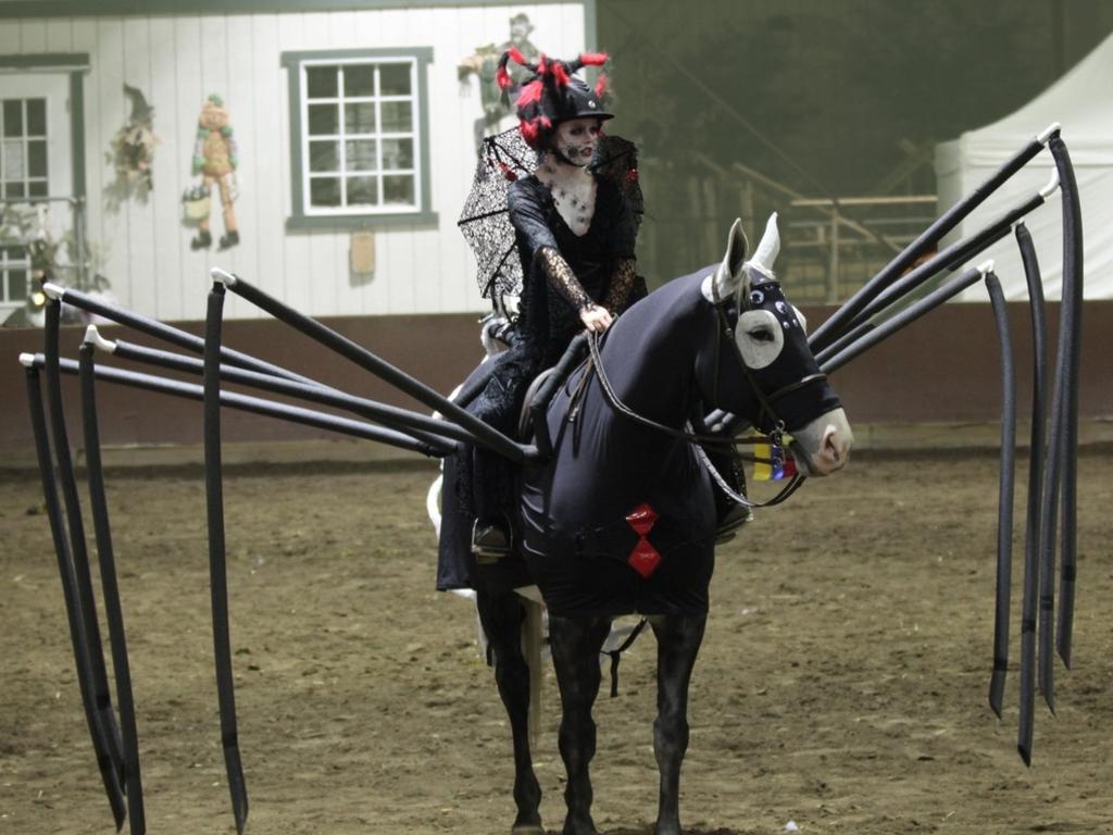 Chrissy Vonderach on top of “Blu Widow” for Costume Works Halloween Parade. Rider Chrissy was dressed as the Spider Queen. Picture: Costume Works