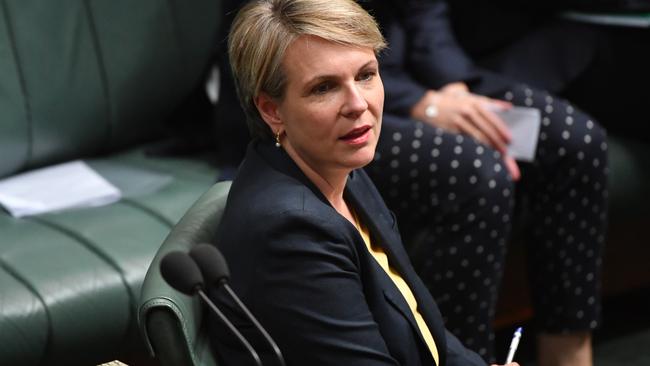 Deputy Leader of the Opposition, Tanya Plibersek, was among those to target the PM in Question Time today. Picture: AAP