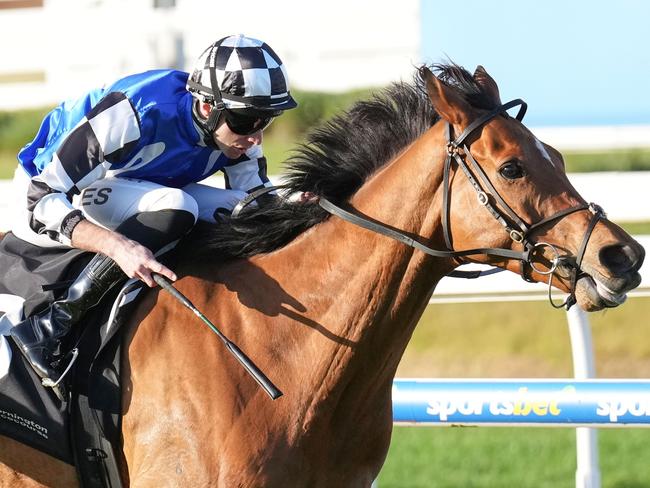 Herman Hesse (GB) ridden by Declan Bates wins the R.M. Ansett Classic at Mornington Racecourse on September 29, 2024 in Mornington, Australia. (Photo by Scott Barbour/Racing Photos via Getty Images)