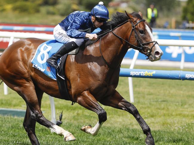 NCA. MELBOURNE, AUSTRALIA. October 19 , 2024. HORSE RACING. Caulfield Cup Day races at Caulfield Racecourse, Melbourne.   Race 2. The Gothic stakes.  Lofty Arch ridden by Ethan Brown wins race 2   .  Pic : Michael Klein