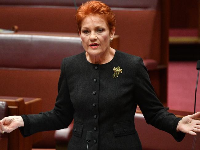 The vote of One Nation leader Senator Pauline Hanson and her colleague will be crucial in getting the coalition’s income tax package passed. Picture: Mick Tsikas/AAP