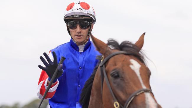 Jason Collett (pictured) takes the ride on Provincial/Midway Qualifier hopeful Crosscheck at Goulburn. Picture: Getty Images