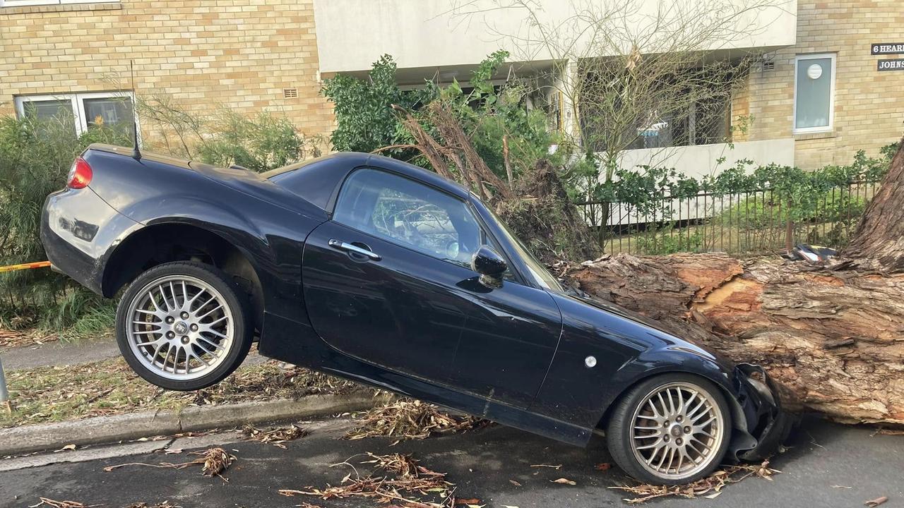 A car was crushed after a tree landed on its bonnet during a storm in Sydney on Friday night. Picture: Supplied/SES.