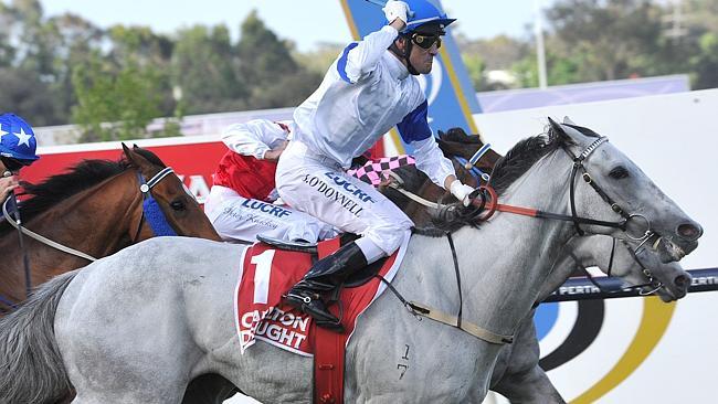 Luckygray jockey Shaun O'Donnell wins the Carlton Draught Railway Stakes. Picture Graeme Collopy