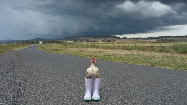 'Chicken' enjoys storm chasing with her parents Wendy and Dave Tanner. Source: Facebook/Life of Chicken