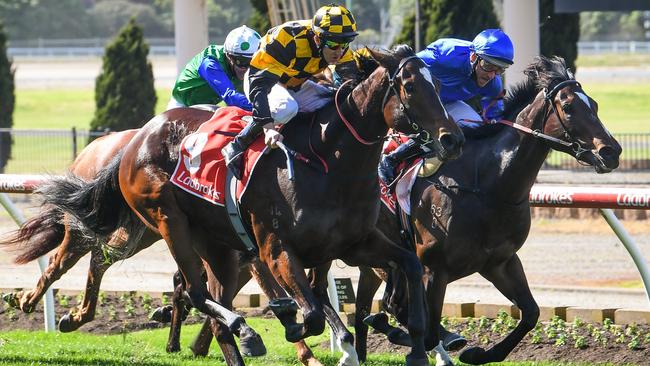 Zouzarella surging to victory at The Valley under star jockey Brett Prebble. Picture: Racing Photos